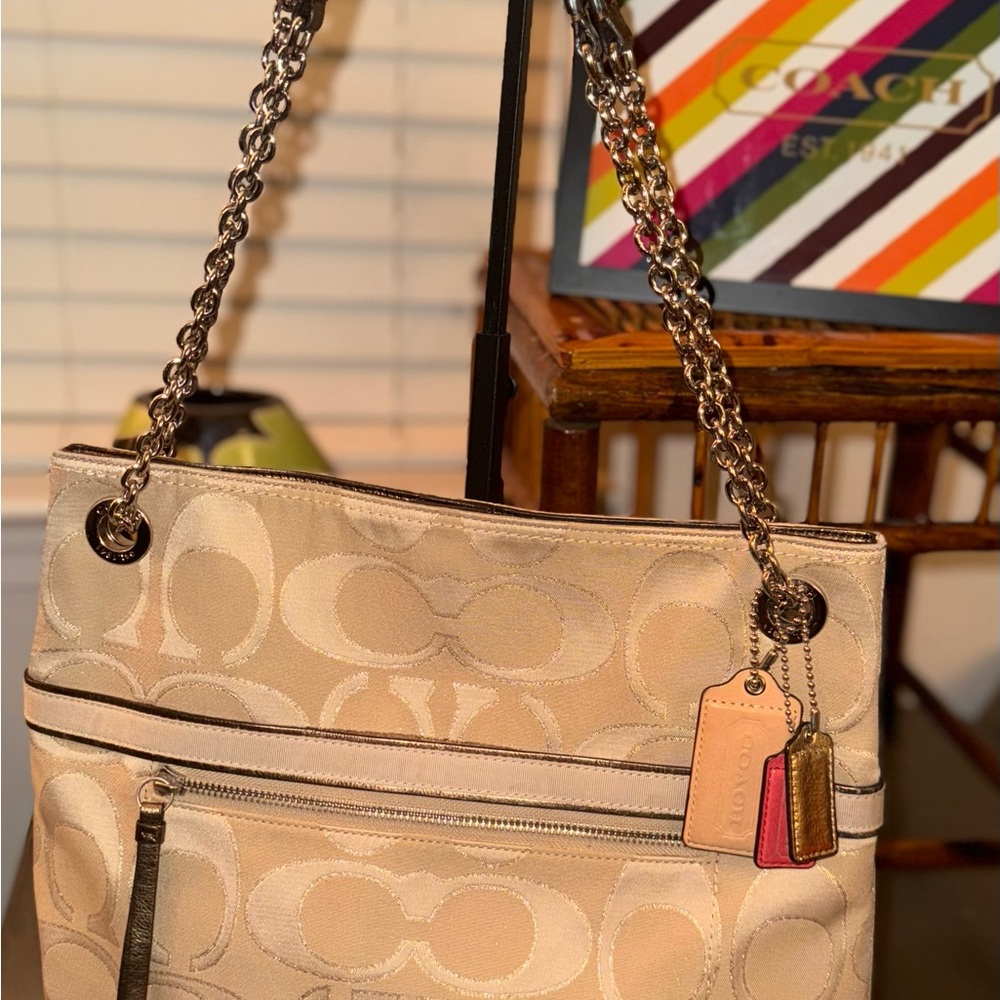 Coach Poppy Slim Chain Tote Bag